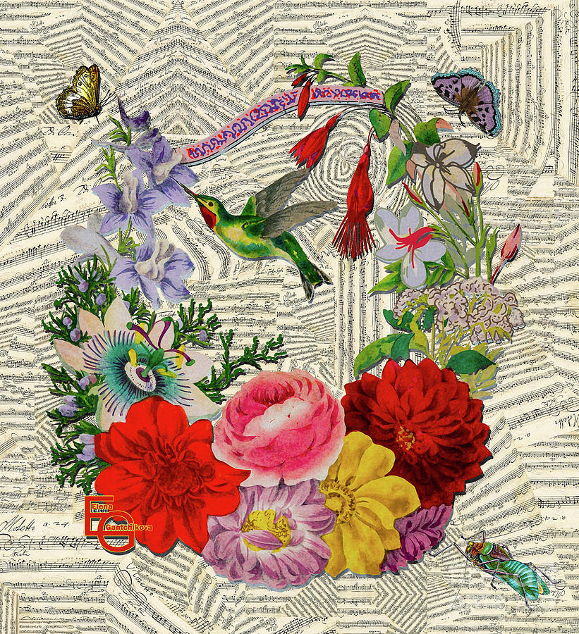 Musical collage notes, flowers, butterflies, grasshopper, bird. Mixed Media by Elena Gantchikova