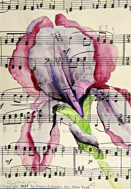 Musical Iris Painting by Janet Cruickshank