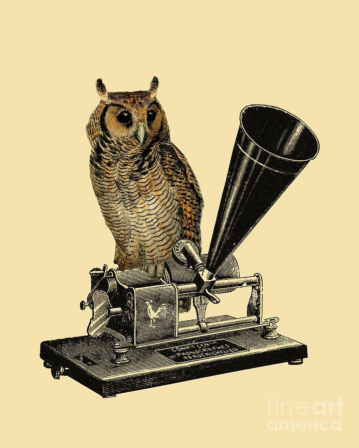 Owl Digital Art - Musical Owl by Madame Memento