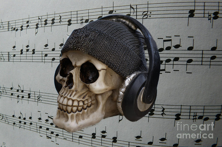 Musical Skull Photograph by Pics By Tony