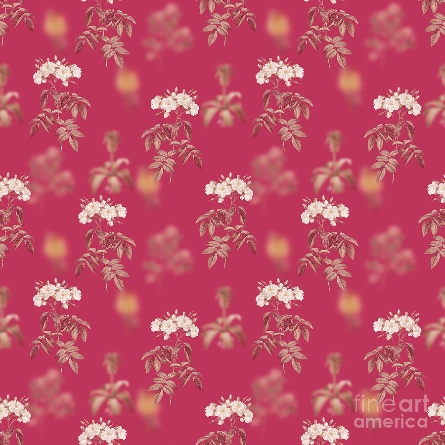 Musk Rose Botanical Seamless Pattern In Viva Magenta N.0924 Mixed Media