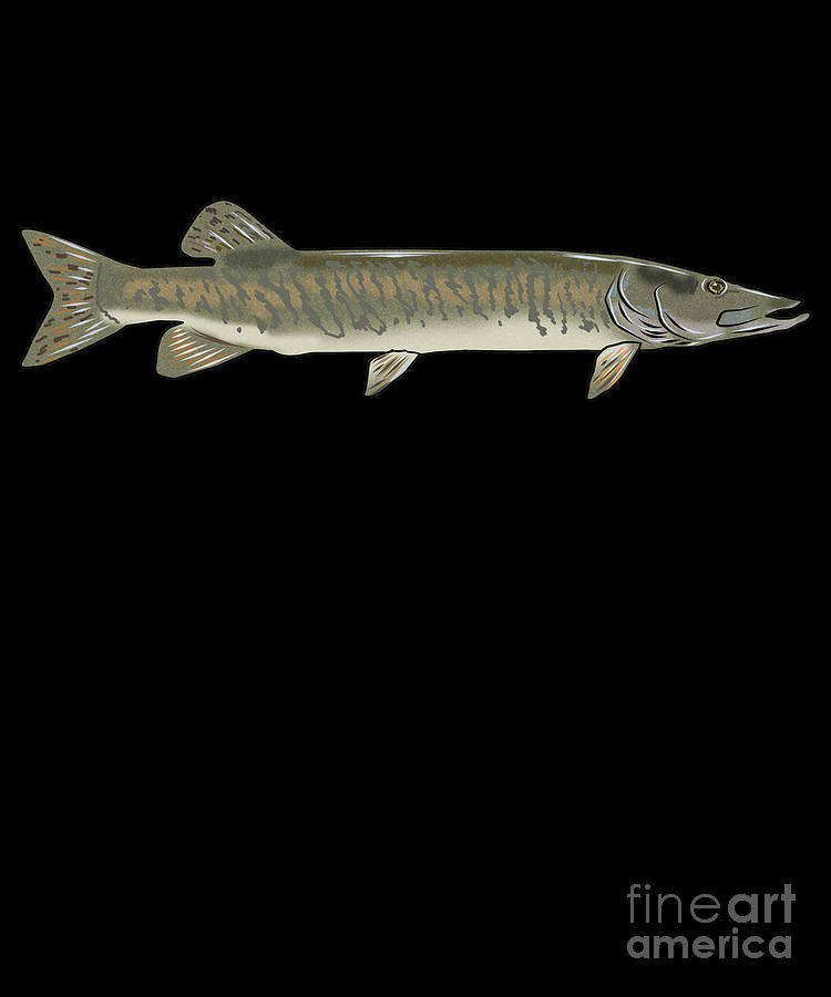 Muskie Fishing Freshwater Fish Graphic Gift Digital Art by MUC Designs