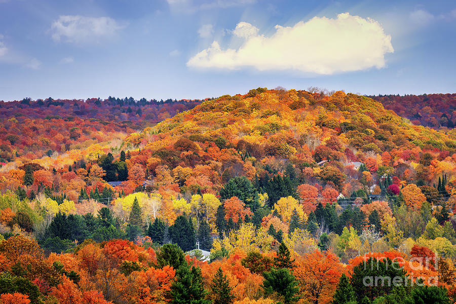 Muskoka Autumn Hills Photograph by Charline Xia