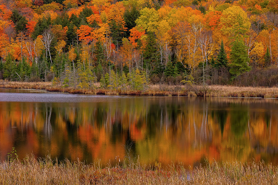 Muskoka Heritage Place, Huntsville, Ontario, Canada Photograph by ...