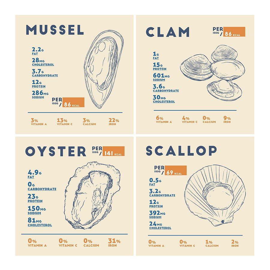 Mussel Clam Oyster Scallop Nutrition Facts Drawing by Info Eats - Pixels