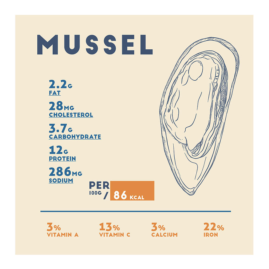 Mussel Drawing - Mussel Nutrition Facts by Info Eats