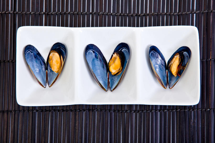 Mussels Photograph by John White Photos