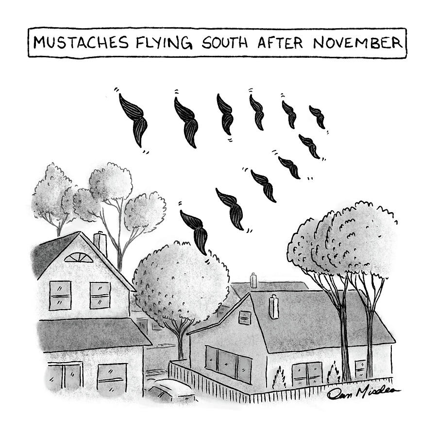 Season Drawing - Mustaches Flying South After November by Dan Misdea