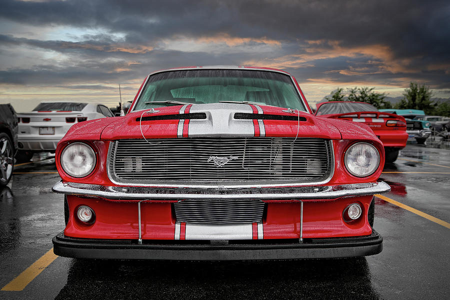 Mustang After The Rain Photograph By Tony Colvin - Pixels