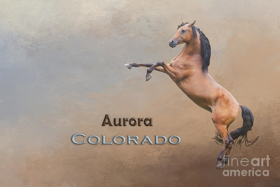 Horse Mixed Media - Mustang Aurora Colorado by Elisabeth Lucas