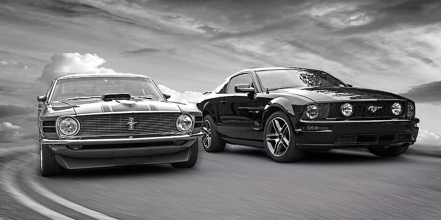 Mustang Buddies in Black and White Photograph by Gill Billington