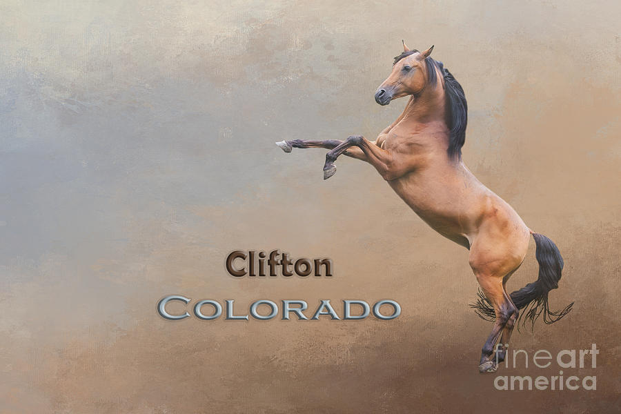 Horse Mixed Media - Mustang Clifton Colorado by Elisabeth Lucas