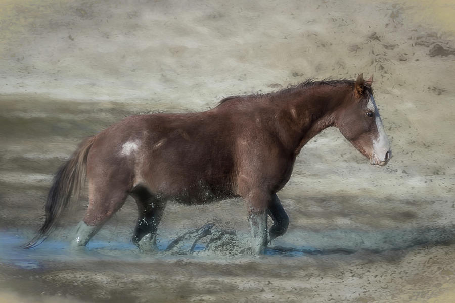 Mustang Getting Out of a Muddy Waterhole the Slow Way painterly Photograph by Belinda Greb