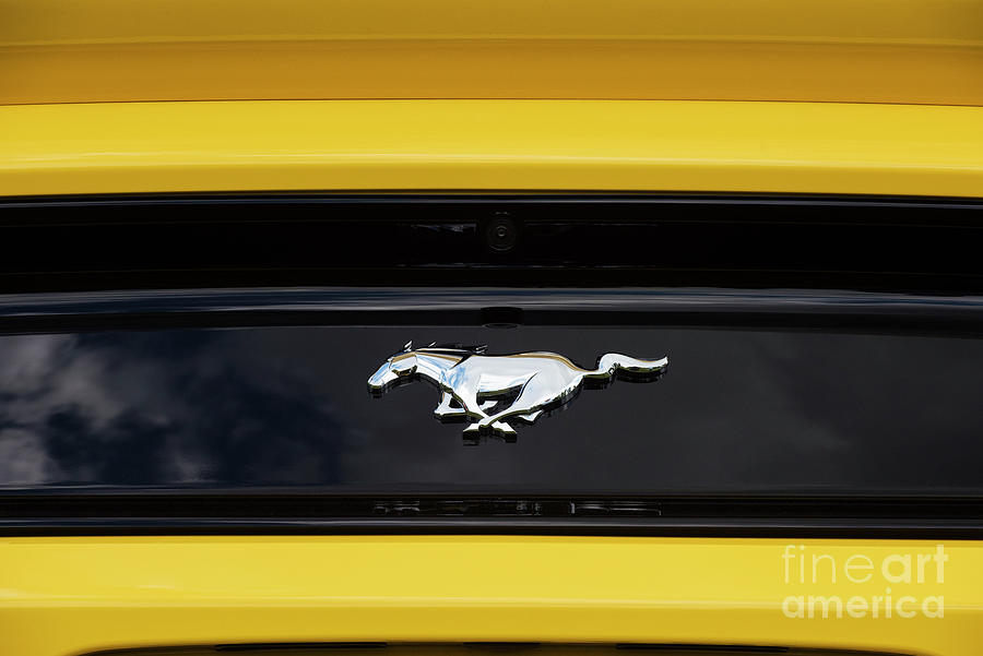 Mustang in Yellow  Photograph by Tim Gainey