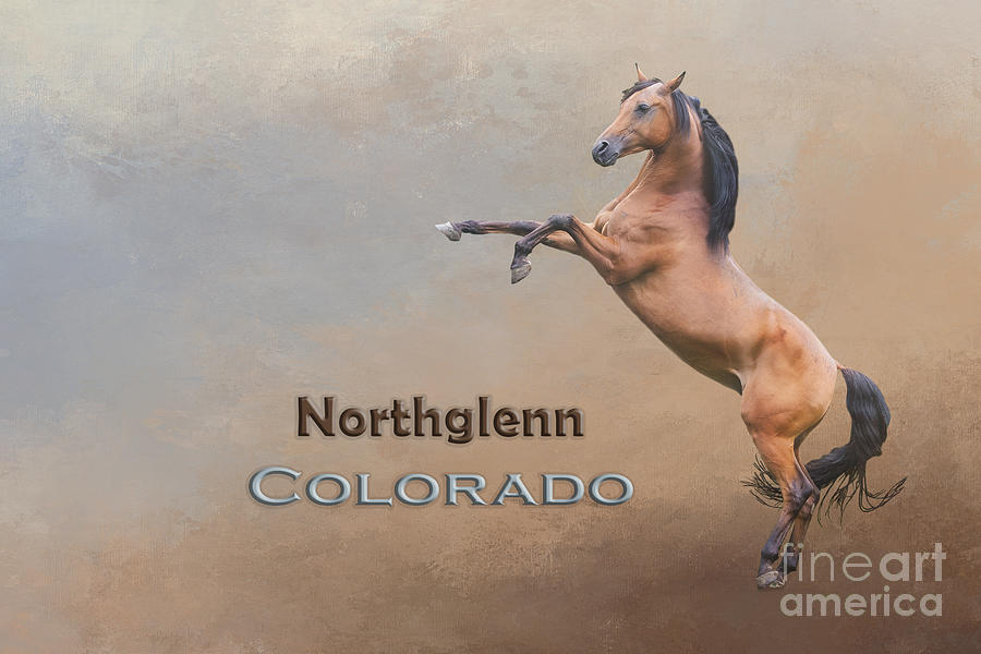 Horse Mixed Media - Mustang Northglenn Colorado by Elisabeth Lucas