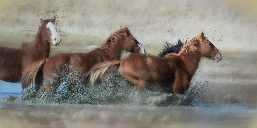 Mustangs Getting Out of a Muddy Waterhole the Fast Way painterly Photograph by Belinda Greb