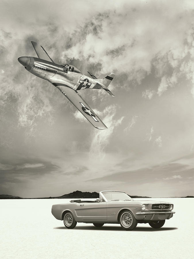 Mustangs Photograph by Mark Rogan - Fine Art America