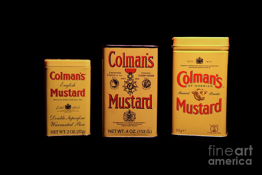 Mustard Cans Through The Years Photograph by Karen Silvestri
