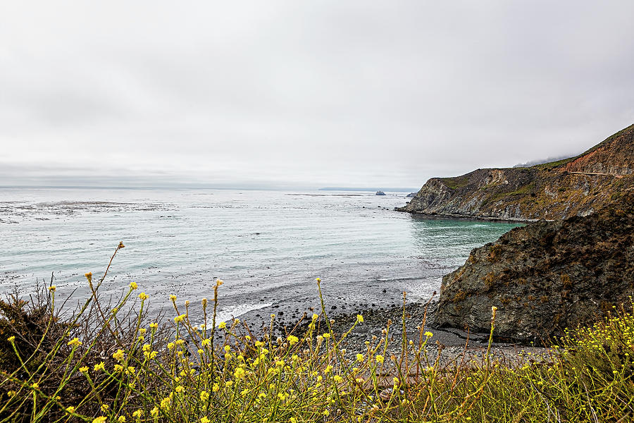 Mustard Flowers Along the California Coast Photograph by Belinda Greb