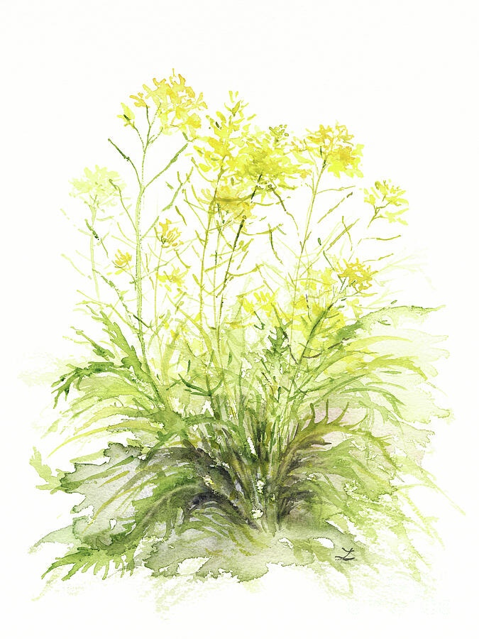 Mustard Flowers Painting by Zaira Dzhaubaeva - Pixels