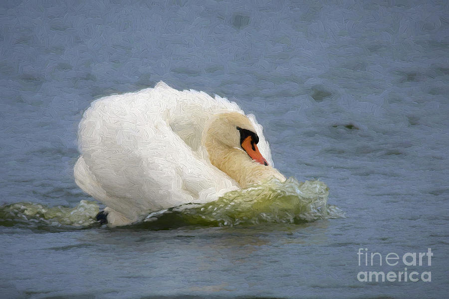 Mute Swan Digital Art by Liz Leyden