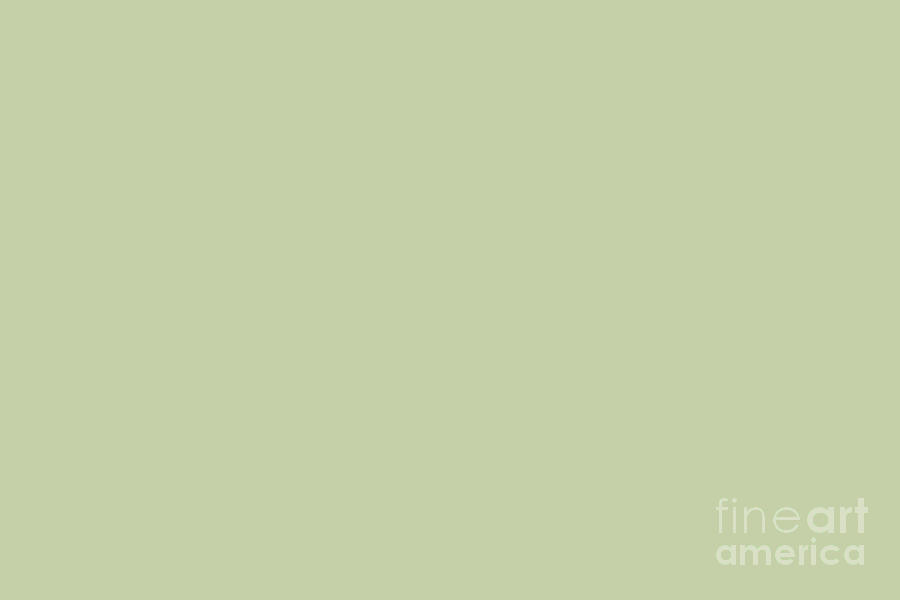 Muted Pastel Green Solid Color Pairs To Sherwin Williams Bonsai Tint Sw 6436 Digital Art By Pipa 0632