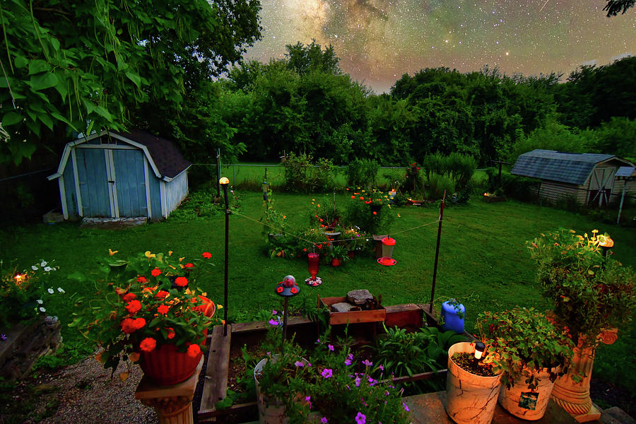 My Backyard Photograph by Randall Branham