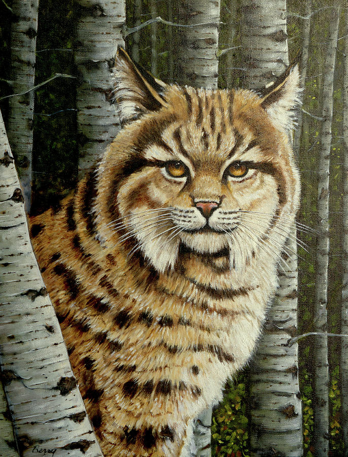My Bobcat Painting by Charles Berry