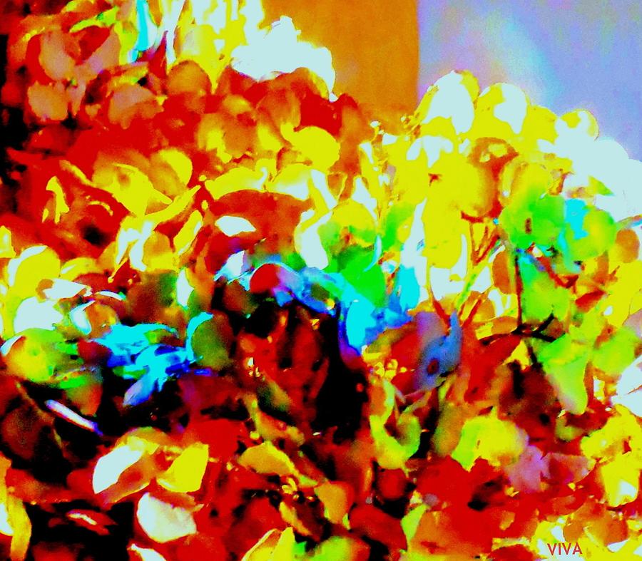 My Colorful Garden - Abstract Photograph by VIVA Anderson