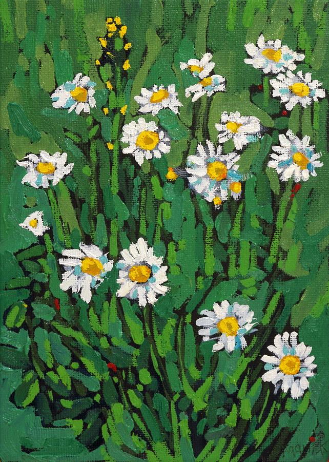 My Daisy Garden Painting by Phil Chadwick