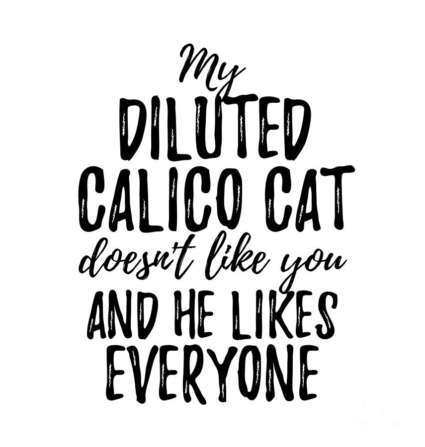 Animal Digital Art - My Diluted Calico Cat Doesnt Like You and He Likes Everyone by Jeff Creation