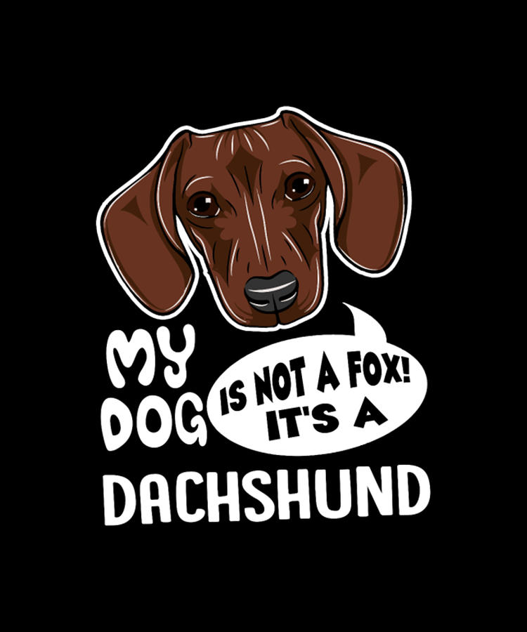 Dachshund Digital Art - My Dog Is Not A Fox Its A Dachshund by Tinh Tran Le Thanh