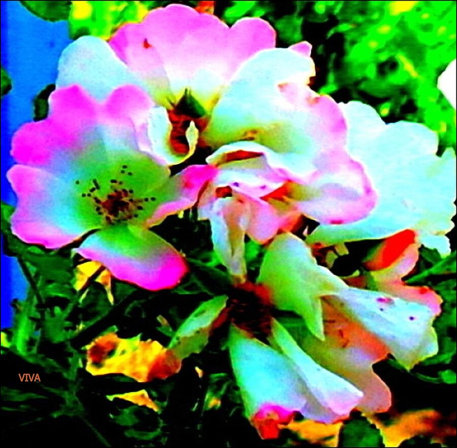 My Fantasy Floral  -  A Whimsy Digital Art by VIVA Anderson