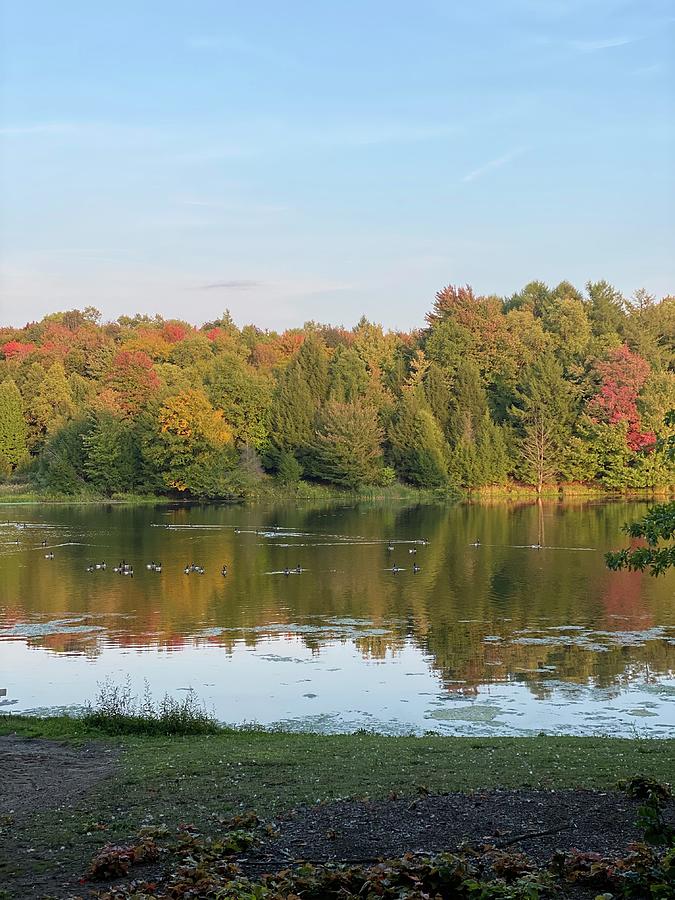 My Favorite Color Is Fall Photograph By Jazmine Granger - Fine Art America