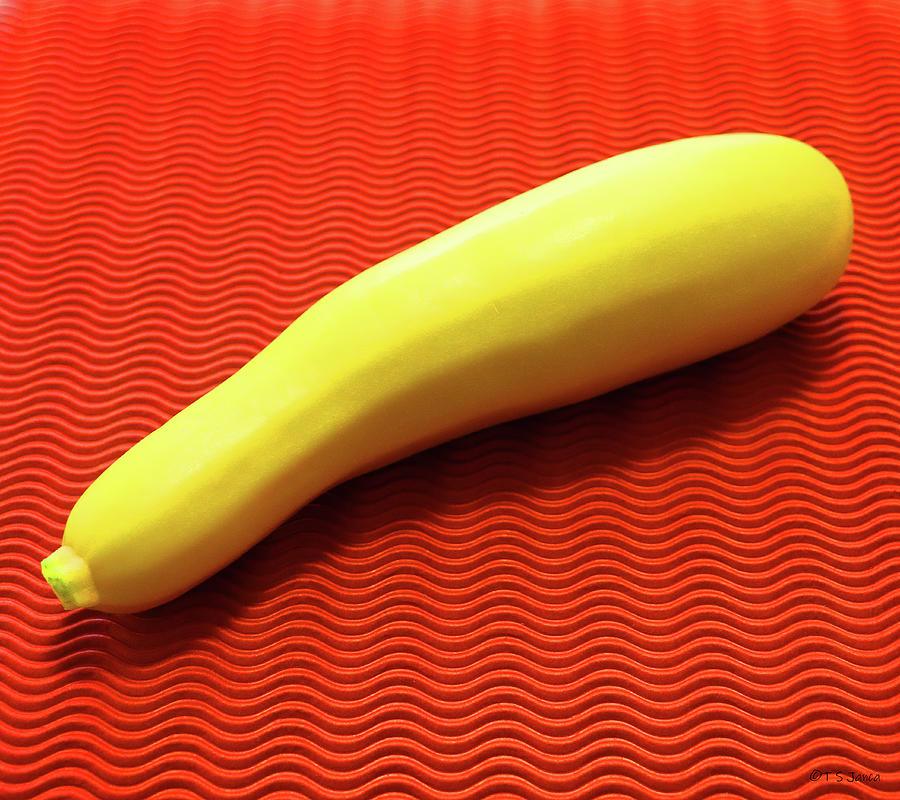 MY First Yellow Squash In Olympia Digital Art by Tom Janca