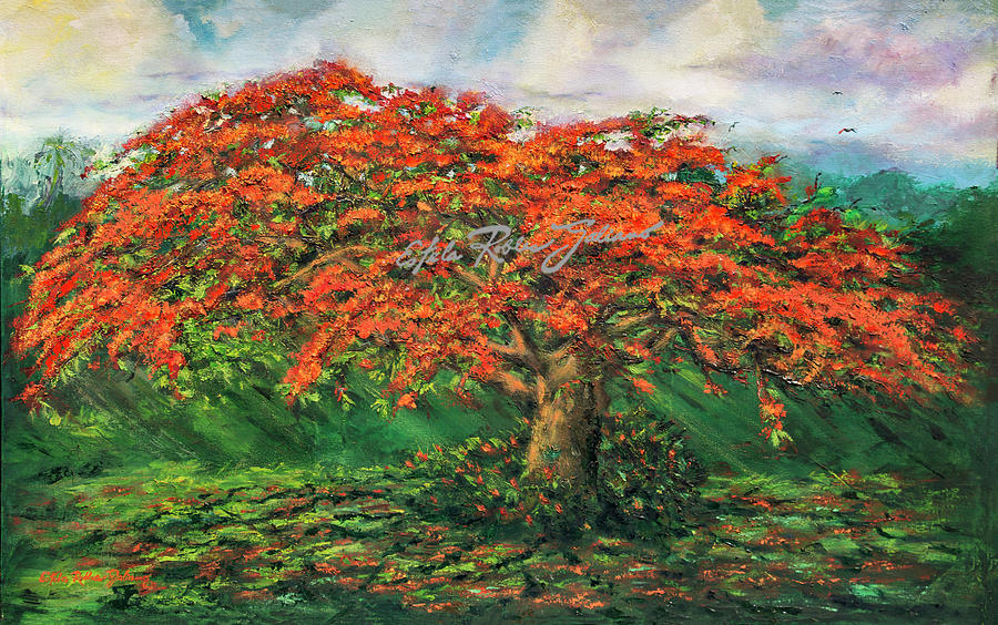 Flamboyant Tree Painting - My Flamboyant Tree by Estela Robles Galiano