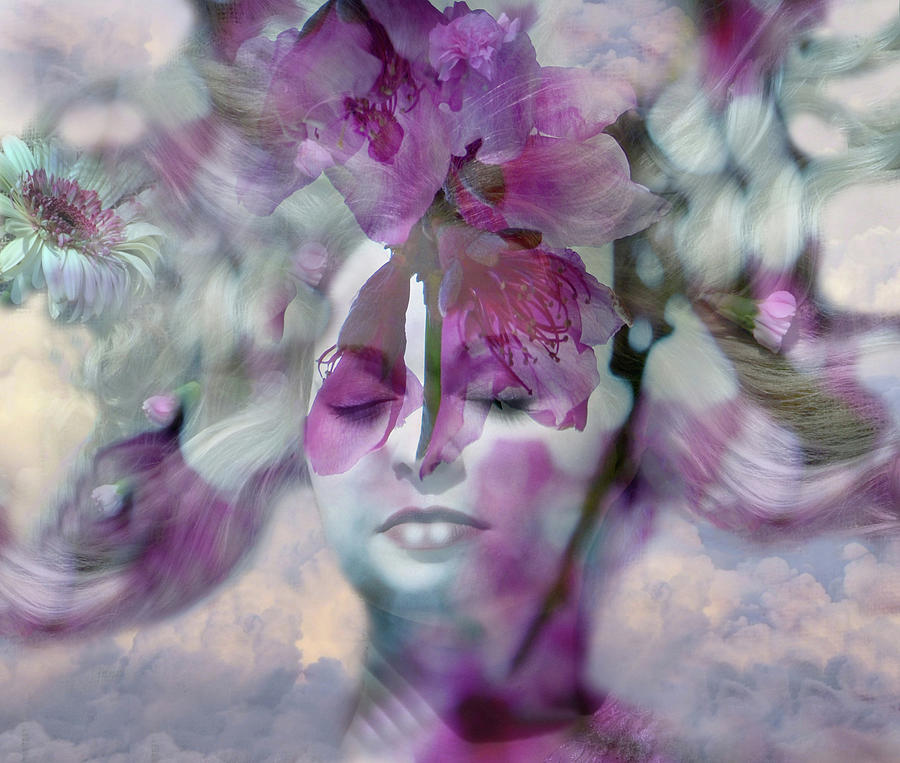 My Floral Dreams... Photograph by Marilyn MacCrakin