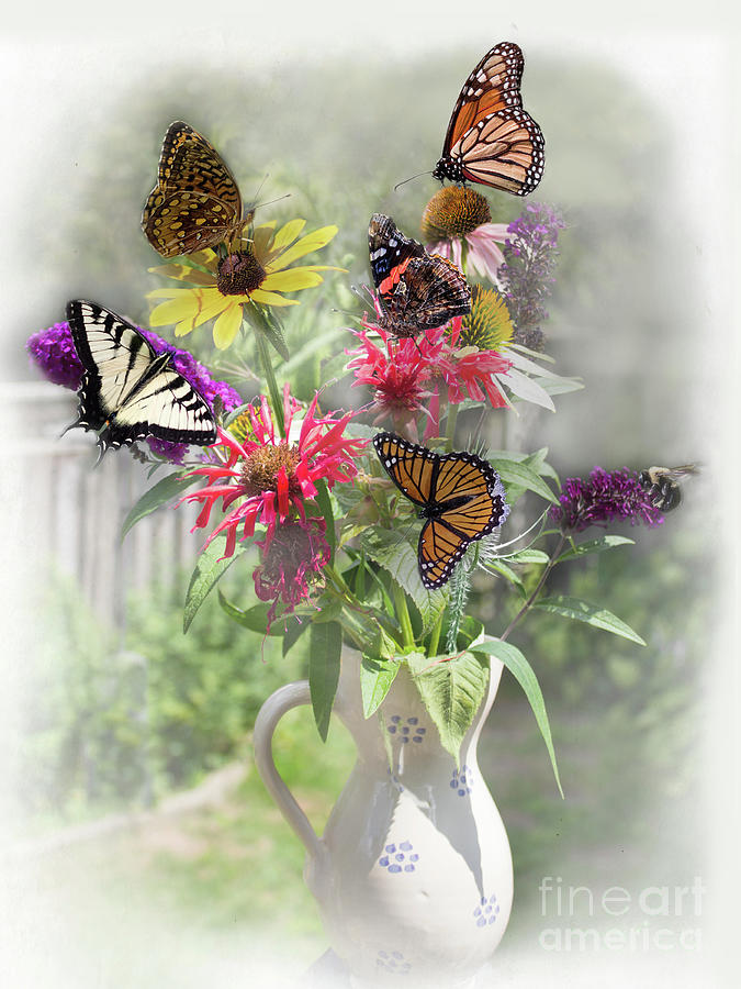 My Garden Flowers and Butterflies Photograph by Barbara McMahon