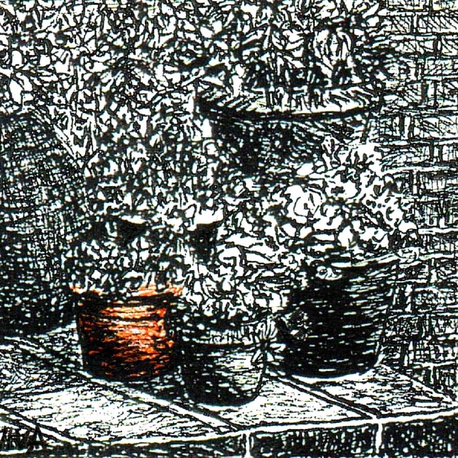 My Garden - Pot Plants Drawing by VIVA Anderson