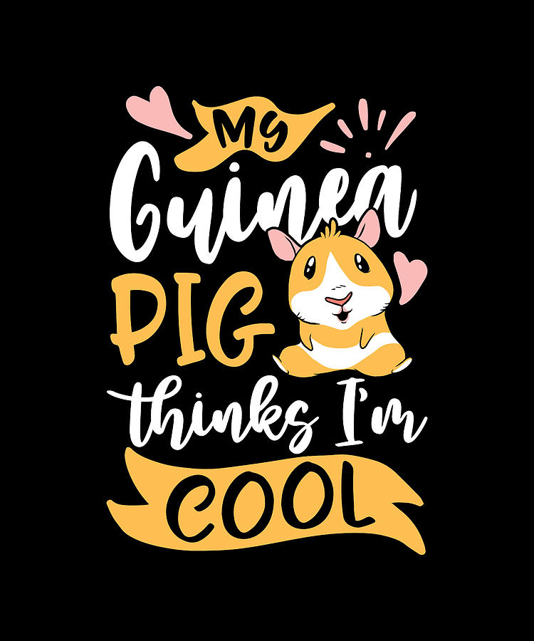 My Guinea Pig Think's I'm Cool - Funny Guinea Pigs Digital Art by ...