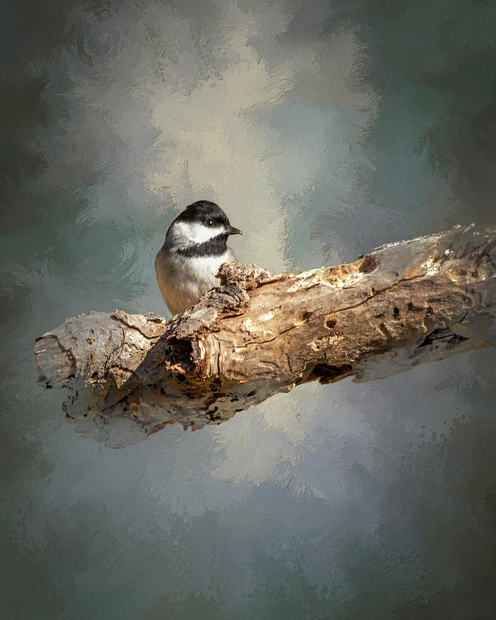 My Little Chickadee Digital Art by Ken Frischkorn