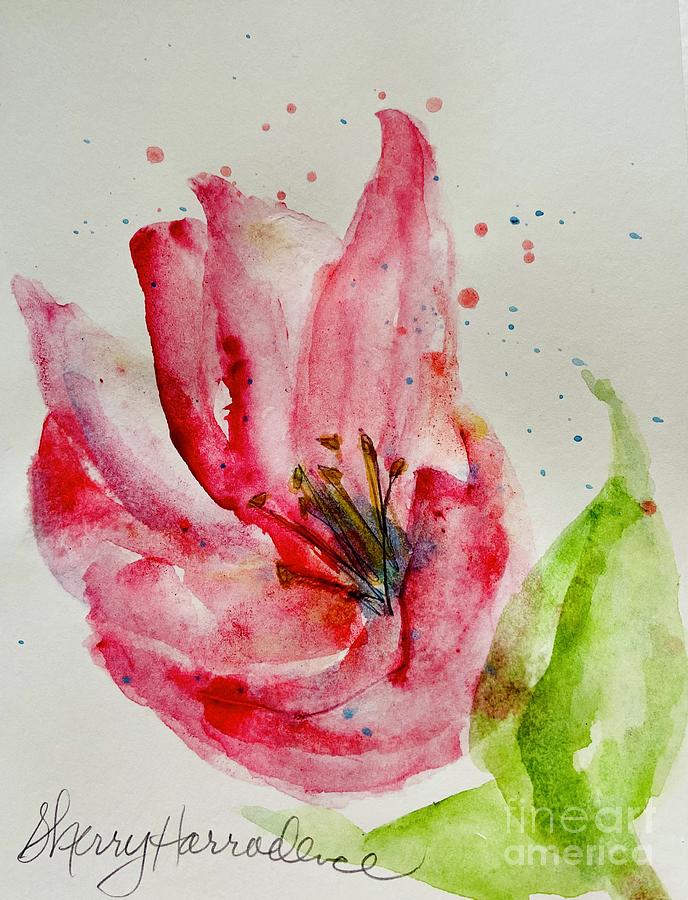 My Magnolias  Painting by Sherry Harradence