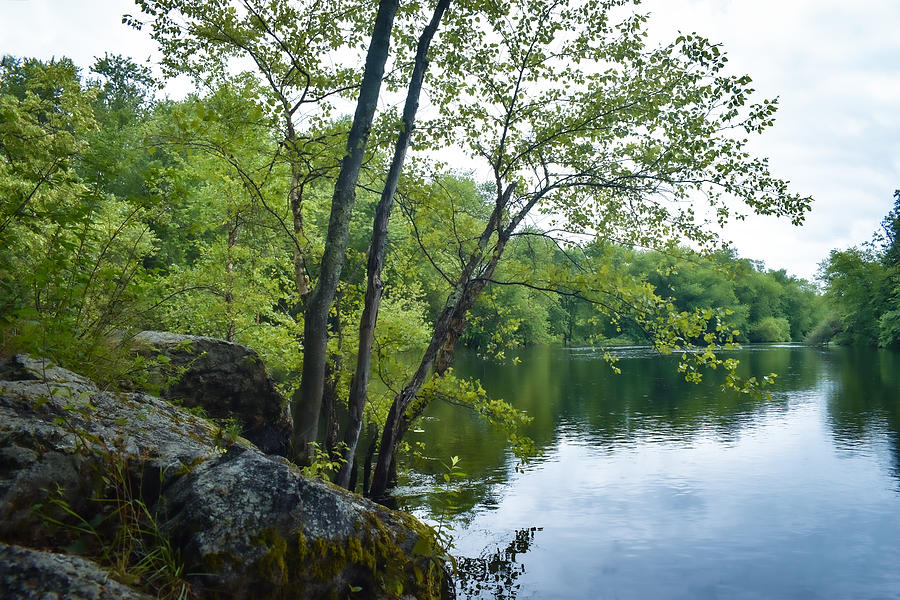 My Peaceful Place Photograph by Nansei Curtin | Fine Art America