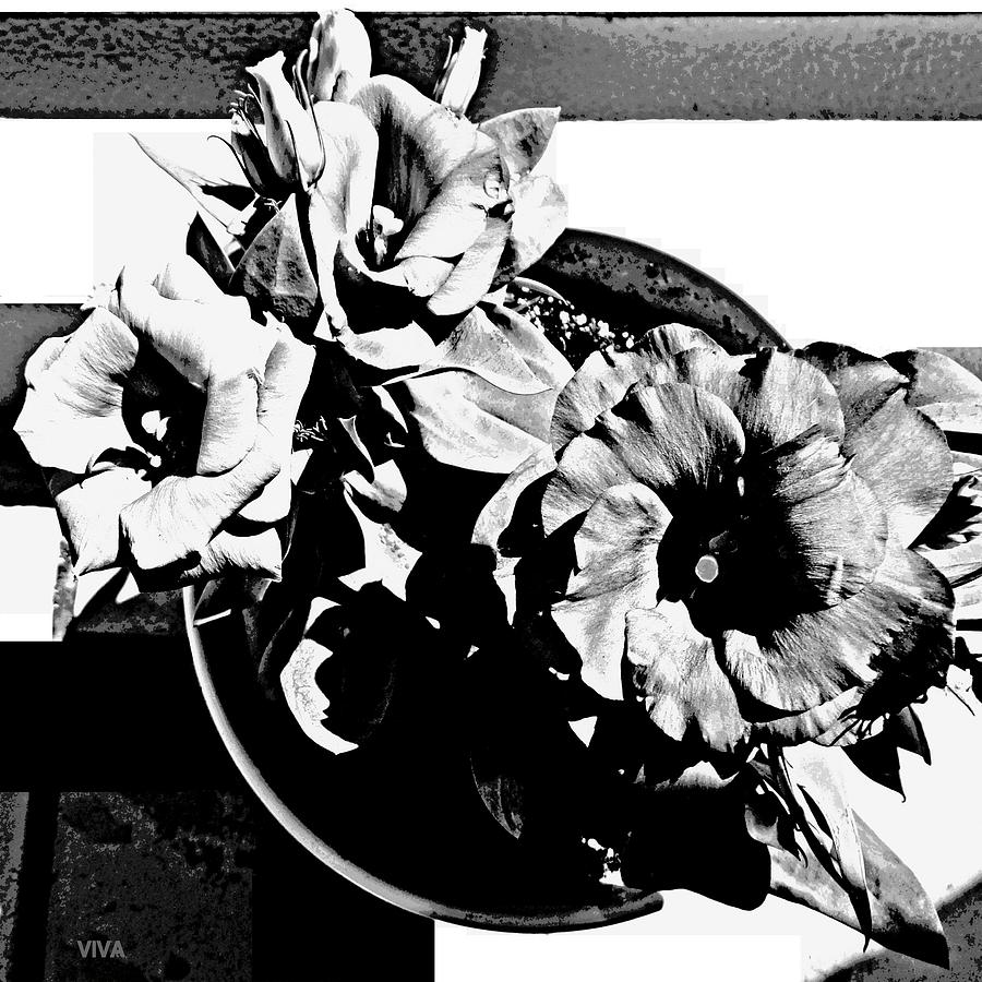 My Pot Plant B-w - Moderne Photograph by VIVA Anderson