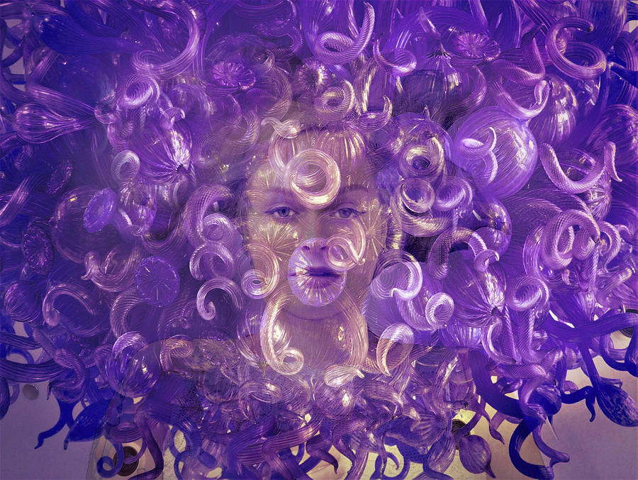My Purple Cocoon  Photograph by Marilyn MacCrakin