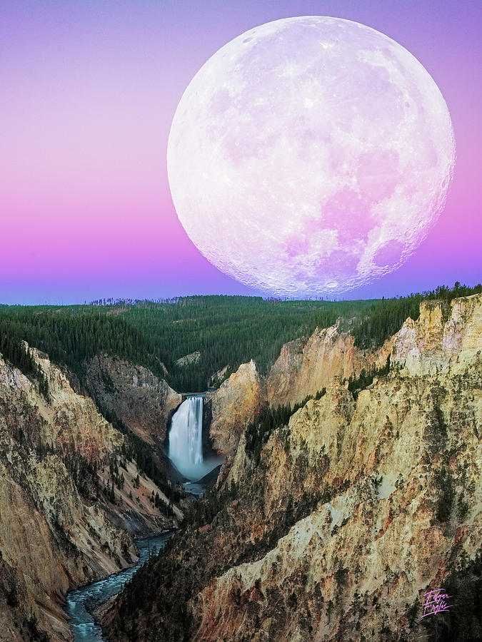 Yellowstone National Park Photograph - My Purple Dream by Edgars Erglis