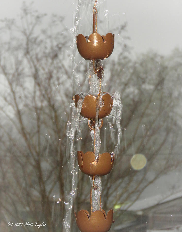 My Rain Chain Overfloweth Photograph by Matt Taylor Fine Art America