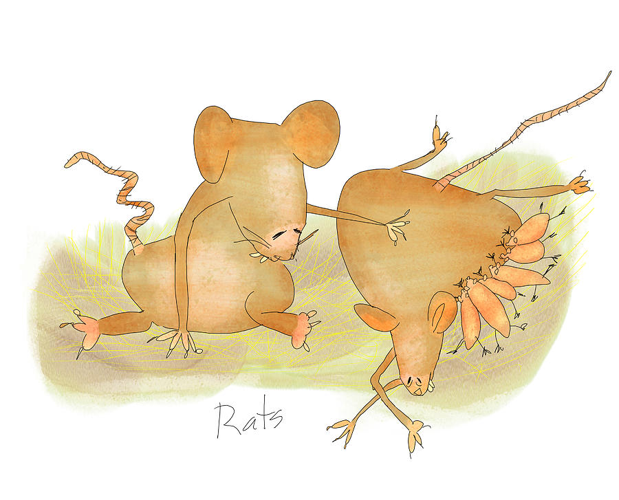 My Rats Digital Art by Hone Williams