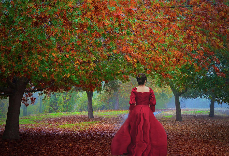 My Red Dress  Photograph by Marilyn MacCrakin