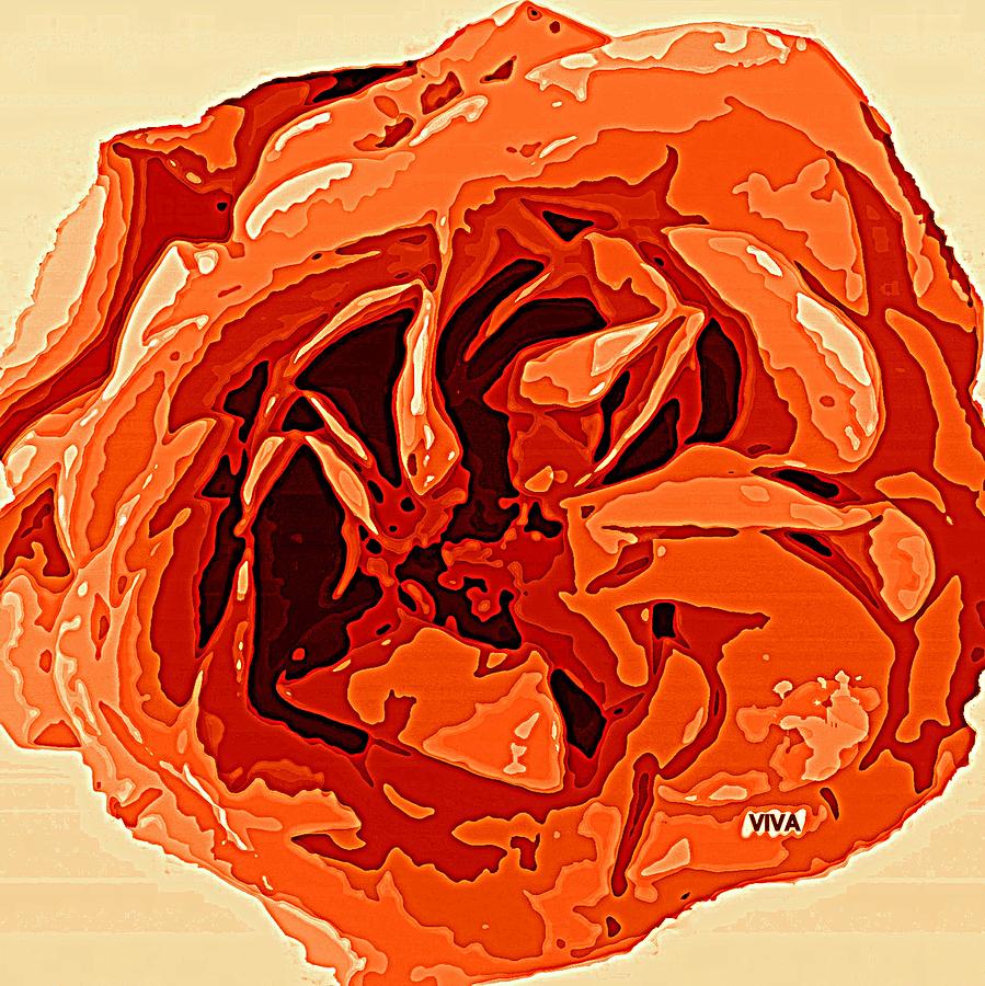 My Rose - Gloire Orange  Photograph by VIVA Anderson